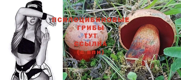 МДПВ Кукмор